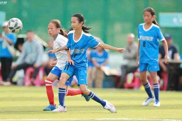 科普：男篮世预赛赛制详解 共两阶段6窗口期